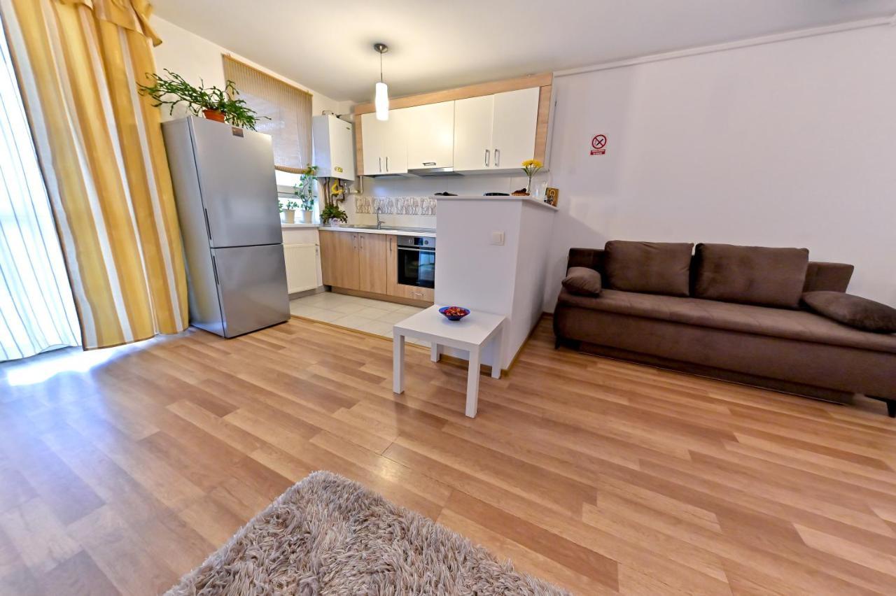Terezianum Apartments, Free Parking Сібіу Екстер'єр фото